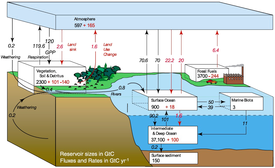 australia-s-vast-carbon-sink-releasing-millions-of-tonnes-of-co2-back